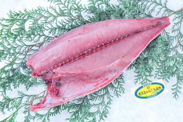 コシナガマグロ（定置網）（半身）