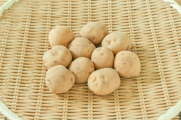 男爵薯（S）500gr