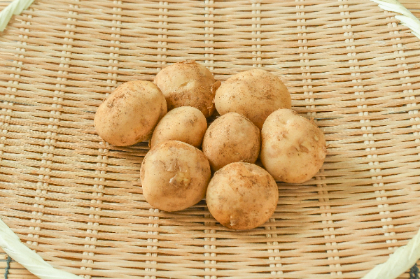 男爵薯（S）500gr