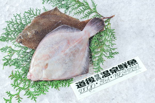 船上活〆メイタガレイ（ゴチ網）