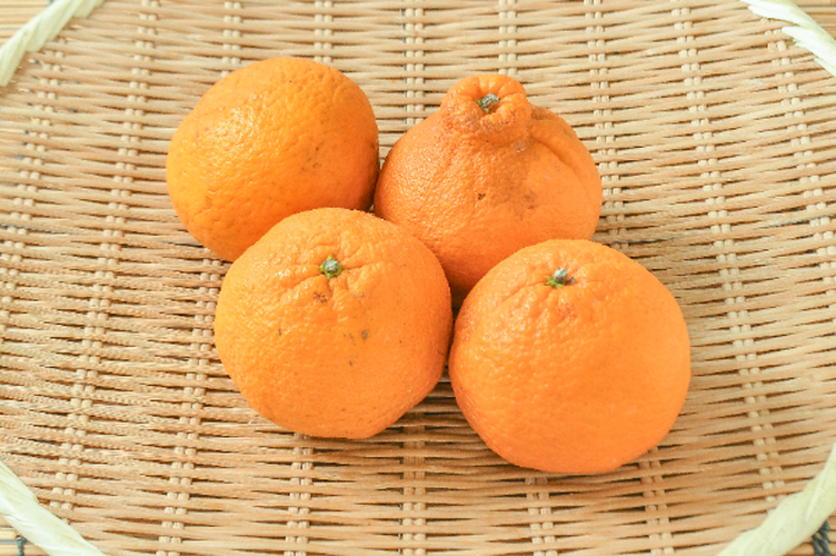 デコポン（不知火柑） 【業務用食材の仕入れなら八面六臂】