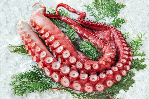 ボイル水タコ足 【業務用食材の仕入れなら八面六臂】