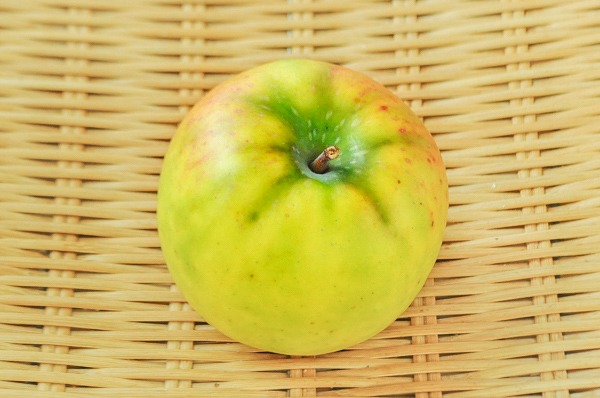 リンゴ（はつ恋ぐりん）（32玉サイズ）（青森県産）