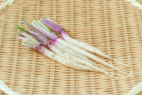 日野菜かぶ（小）