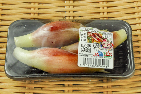 茗荷 Al 八面六臂