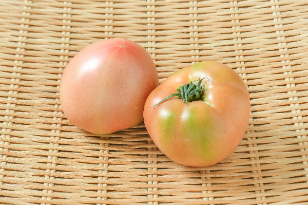 大玉トマト（L）（18玉サイズ）