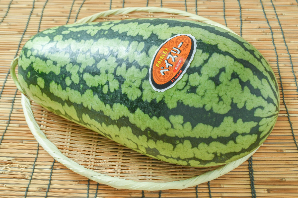ペイズリー