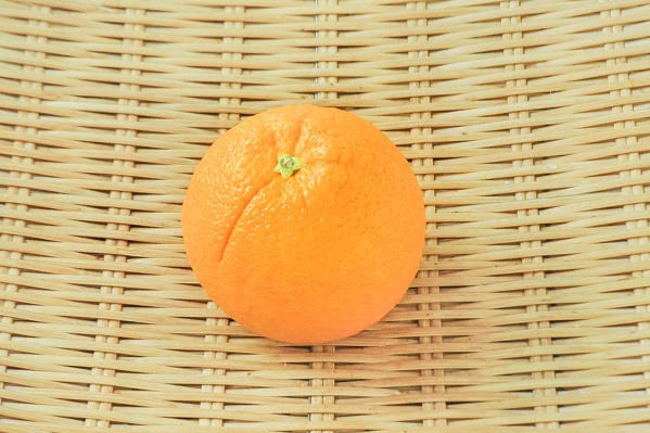 ネーブルオレンジ（72玉サイズ）