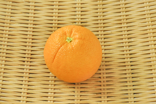 西岩　ネーブルオレンジ（72玉サイズ）