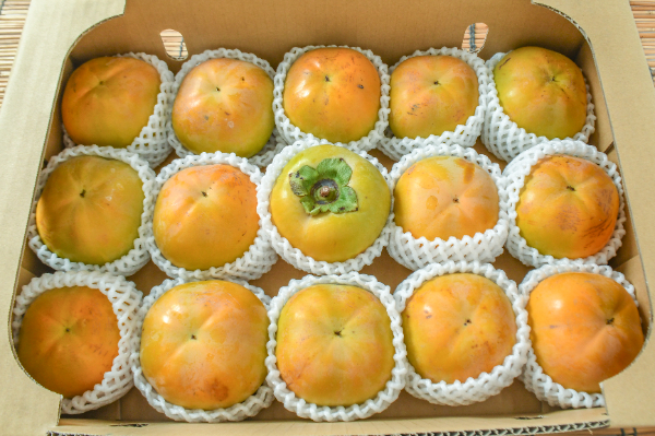 太秋柿（13玉サイズ）