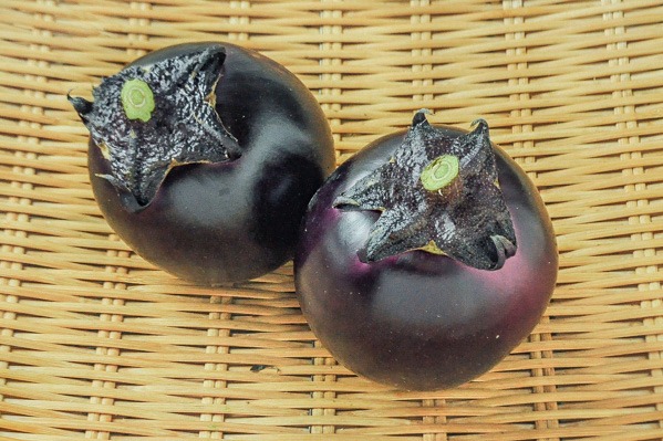 越の丸茄子（11玉サイズ）