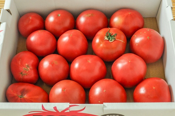 中玉トマト（ロッソ）（L）（無印）箱2kg