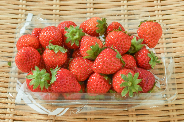 ベリーポップ すず（B）