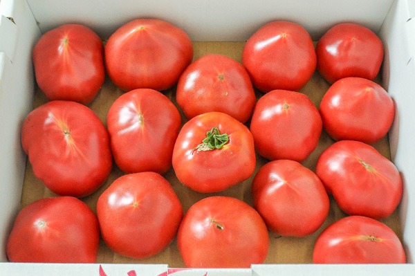 中玉トマト（ロッソトマト）（無L）箱2kg 12玉