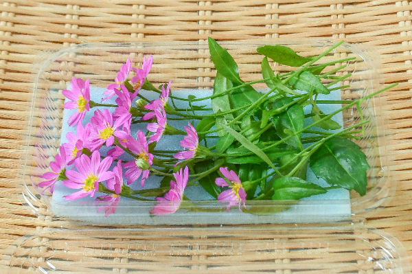 水引飾り（松竹梅） 【業務用食材の仕入れなら八面六臂】