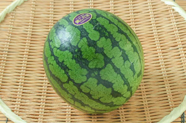 サマーオレンジ西瓜（L） 【業務用食材の仕入れなら八面六臂】