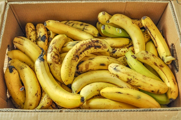 南米バナナ（加工用）箱10kg