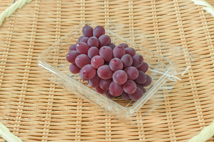 サニールージュ 【業務用食材の仕入れなら八面六臂】