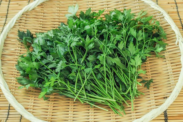 イタリアンパセリ 【業務用食材の仕入れなら八面六臂】