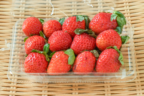 ゆうべに（込）