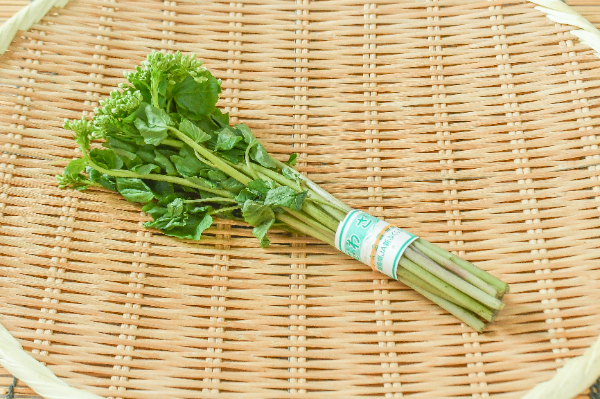 花わさび　50gr