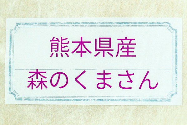 森のくまさん２