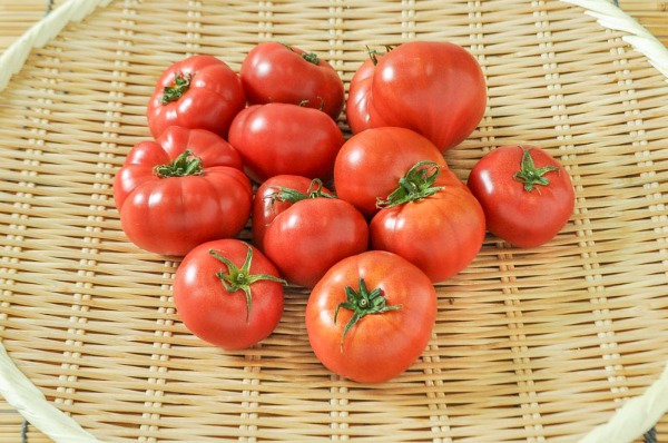 美トマト（丸M）（糖度8度）1kg
