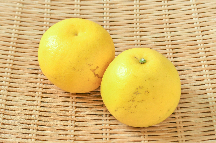 ニューサマーオレンジ（2L）（丸特） 【業務用食材の仕入れなら八面六臂】