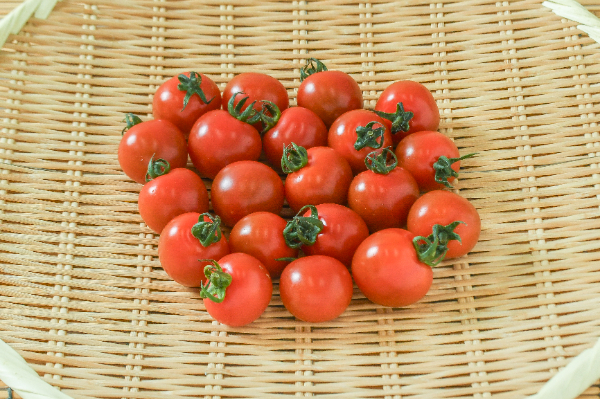 ミニトマト（3L）（ベニスズメ）500gr