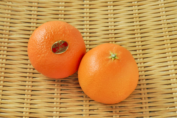 西岩　紅まどんな（柑橘）（L）（15玉サイズ）