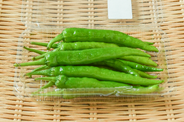 甘長ししとう　100gr