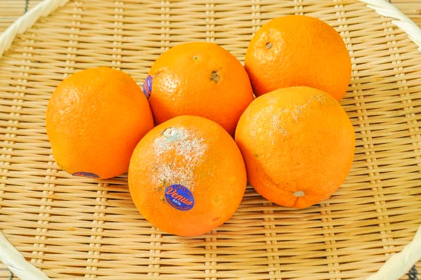 バレンシアオレンジ（加工用）1kg