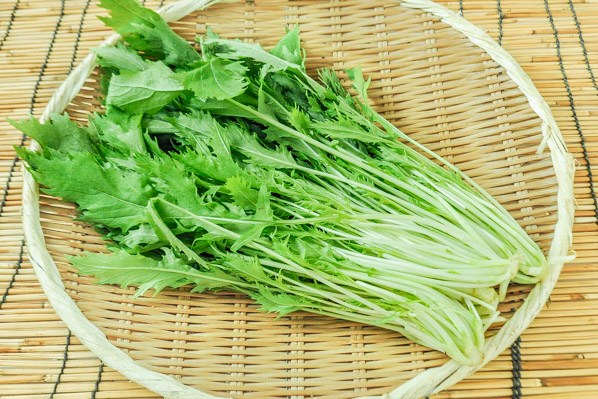 水菜 【業務用食材の仕入れなら八面六臂】