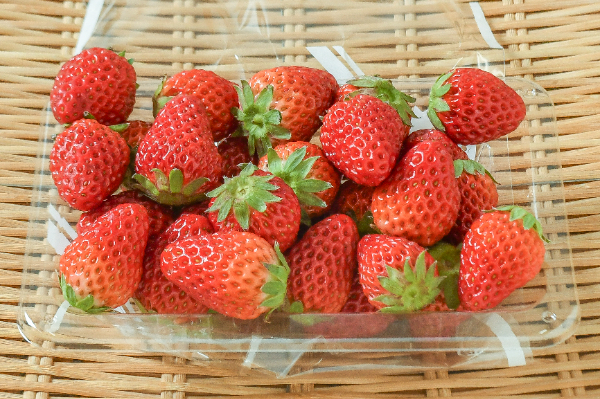 とちおとめ（L） 【業務用食材の仕入れなら八面六臂】