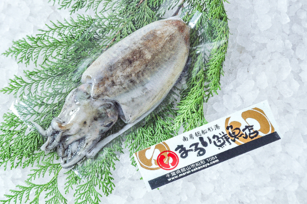 まるい鮮魚店　スミイカ（コウイカ）（千葉県館山市船形産）
