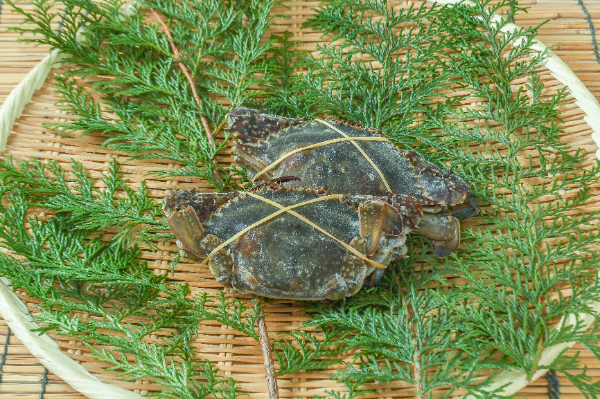 ワタリガニ（ラウンド）（オス）100-200gr