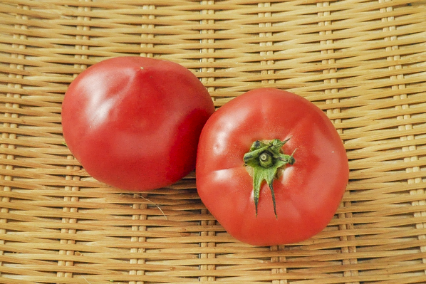 大玉トマト（2L）（16玉サイズ）