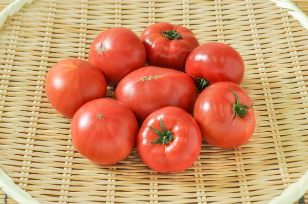 美トマト（銀M）（糖度8度）1kg