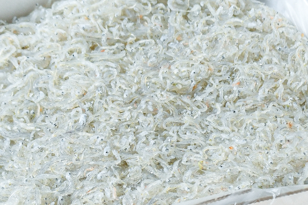 パセリとしらす 確認用ページ しらす干し｜Vマーク：信頼の生活ブランド｜株式会社八社会