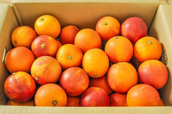 ブラッドオレンジ（S）箱5kg