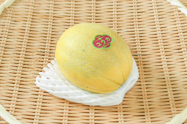 優香メロン（6玉サイズ）