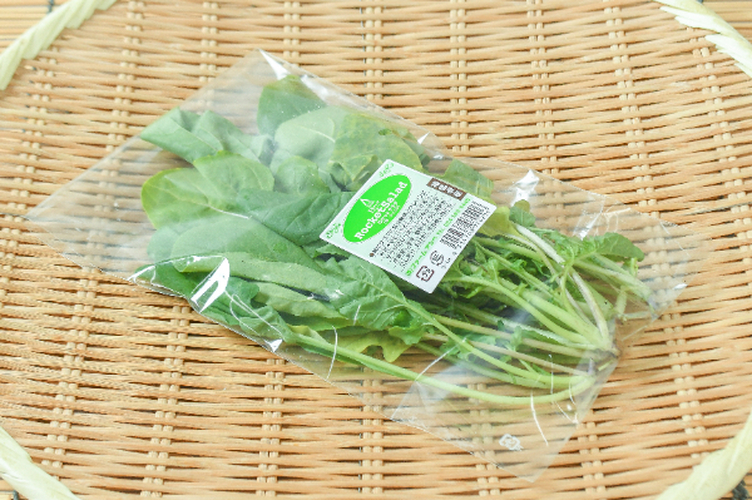 ルッコラ（FG）（B） 【業務用食材の仕入れなら八面六臂】