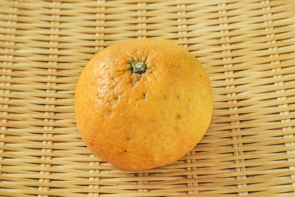甘夏（3L）