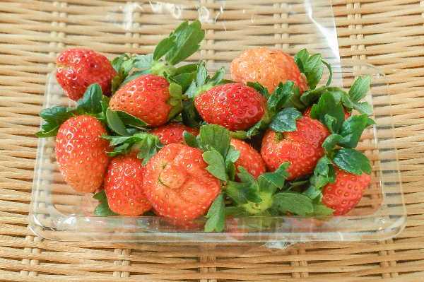 いちご（M） 【業務用食材の仕入れなら八面六臂】