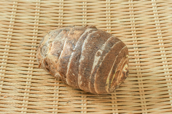 海老芋（3L） 【業務用食材の仕入れなら八面六臂】