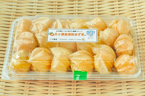 食用ほおずき　18玉