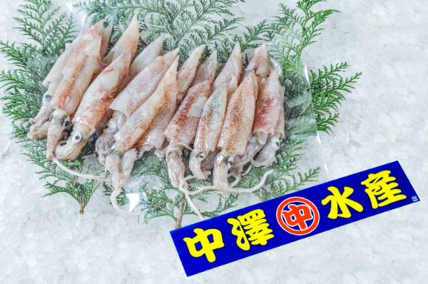 ヤリイカ（底曳網）