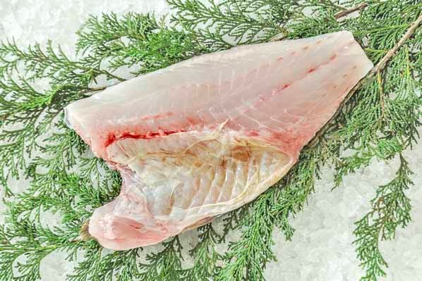 マハタ 釣物 半身 八面六臂