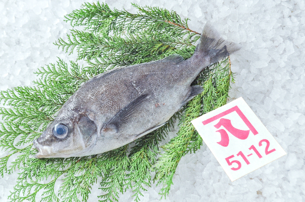 かねはち　クサカリツボダイ（静岡県沼津産）