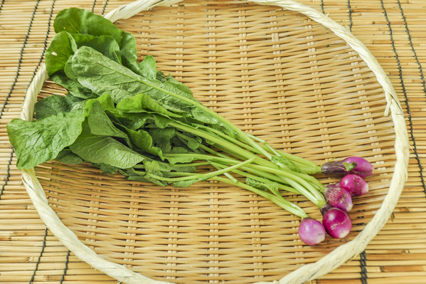 茨城露地紫ラディッシュ（パープル）（有機圃場） 【業務用食材の